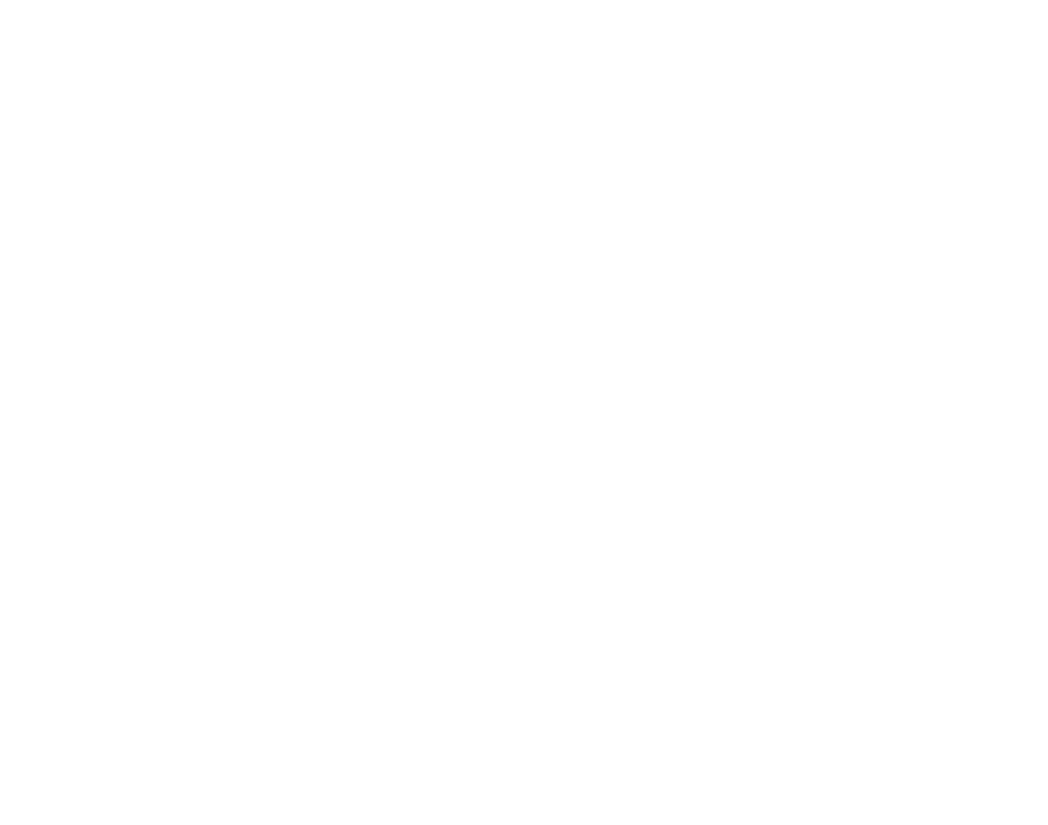 Agropecuária Nelore Áquila — O Nelore do Futuro